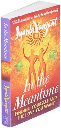 In the Meantime – Finding Yourself and the Love You Want – Iyanla Vanzant In The Meantime – Finding Yourself And The Love You Want – Iyanla Vanzant secondhand book