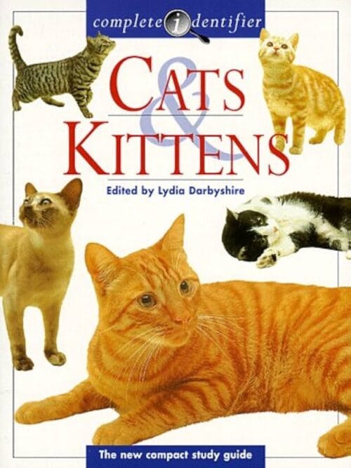 Cats And Kittens, Complete Identifier – Lydia Darbyshire secondhand book