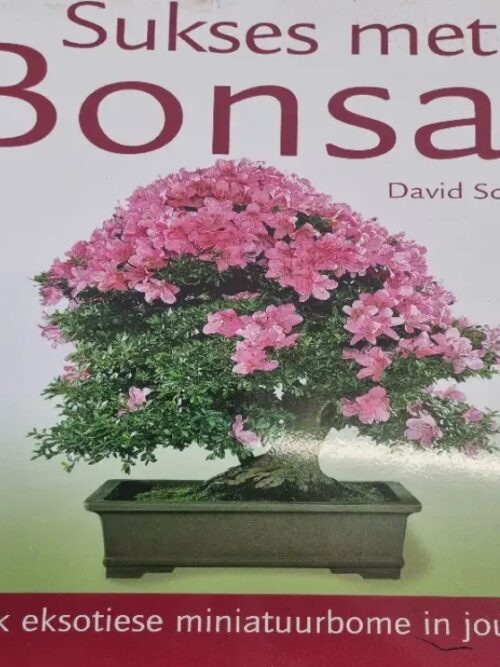 Sukses Met Bonsai - David Squire Sukses Met Bonsai – David Squire secondhand book