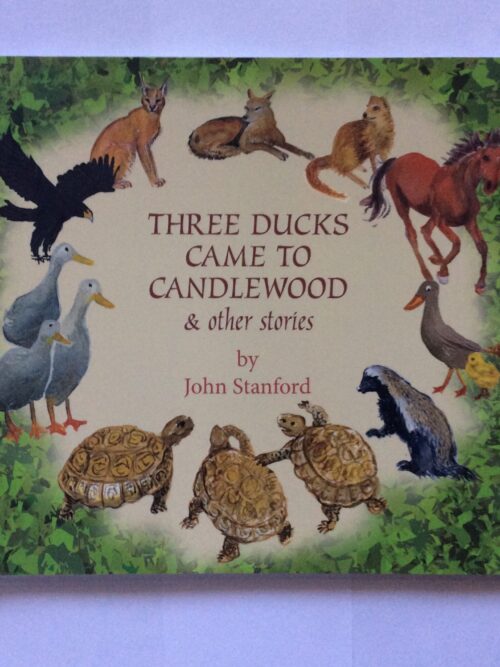 Three Ducks Came To Candlewood & Other Stories – John Stanford secondhand book