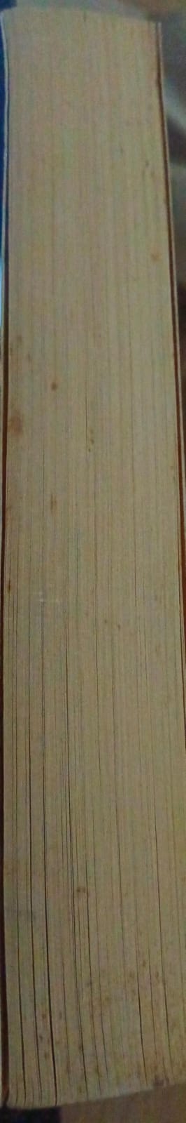 The Lantern damage The Lantern – Deborah Lawrenson secondhand book